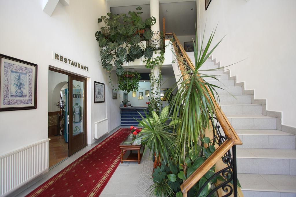 פויאנה ברשוב Hotel Ruia מראה חיצוני תמונה