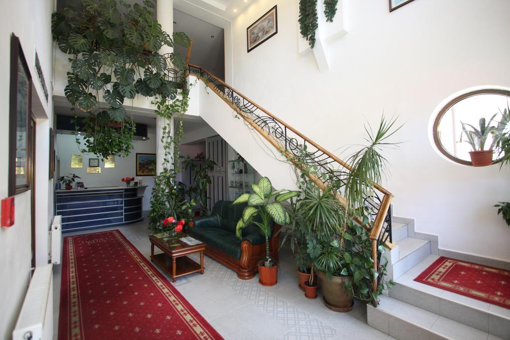 פויאנה ברשוב Hotel Ruia מראה חיצוני תמונה