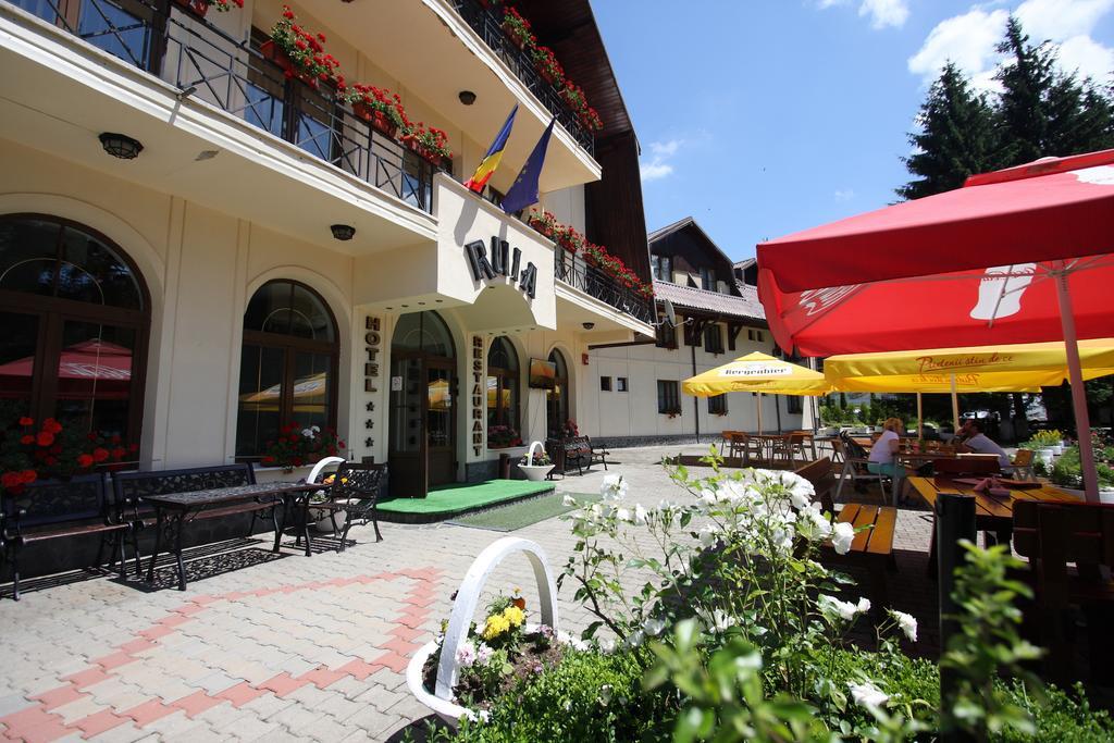 פויאנה ברשוב Hotel Ruia מראה חיצוני תמונה